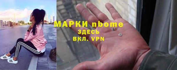 дживик Козельск