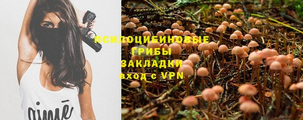 бутират Коряжма