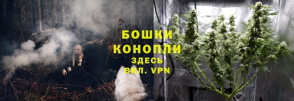дживик Козельск