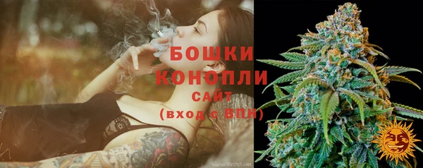 2c-b Корсаков
