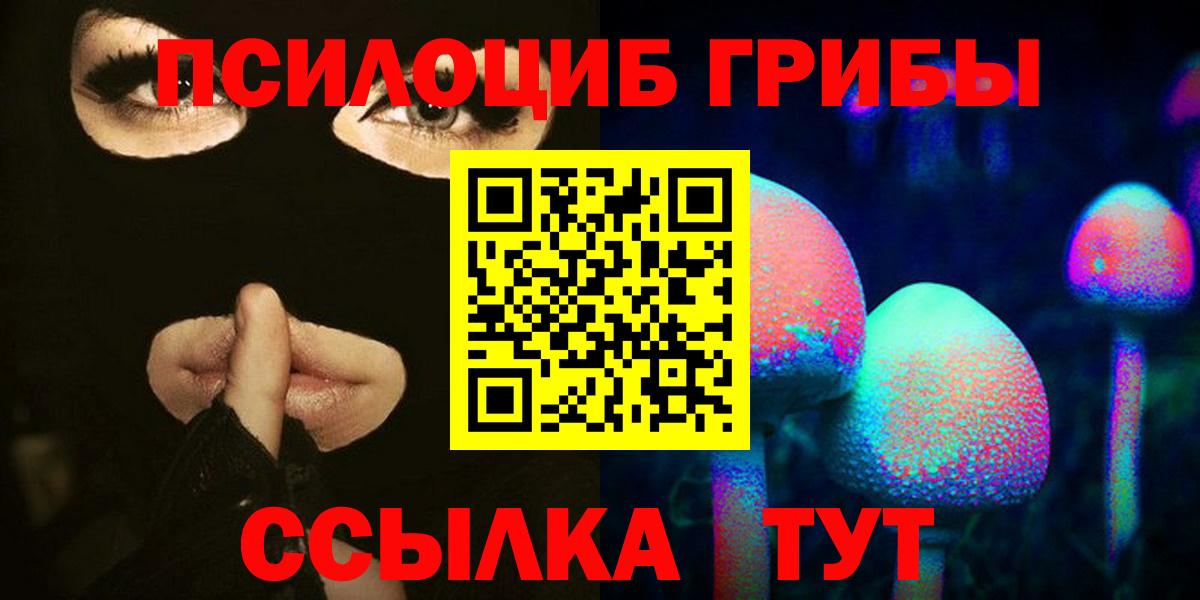 Псилоцибиновые грибы прущие грибы Новошахтинск