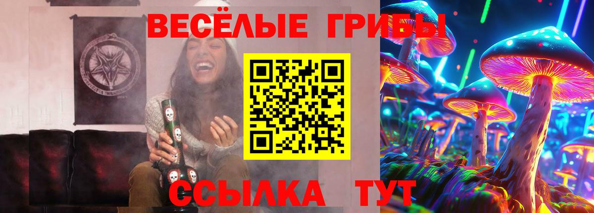 Галлюциногенные грибы Magic Shrooms  Вход с VPN  Новошахтинск 