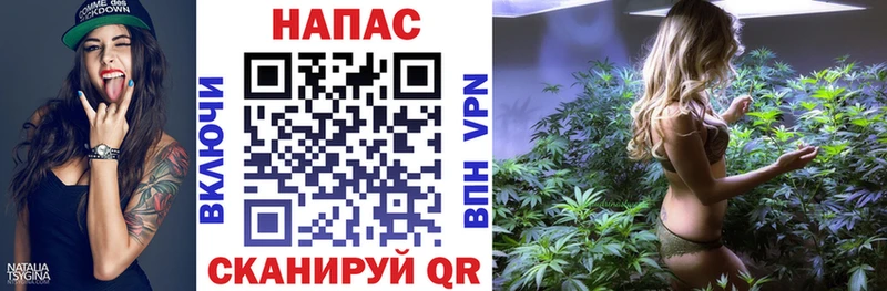darknet Telegram  купить наркотики сайты  Новошахтинск  МАРИХУАНА семена 