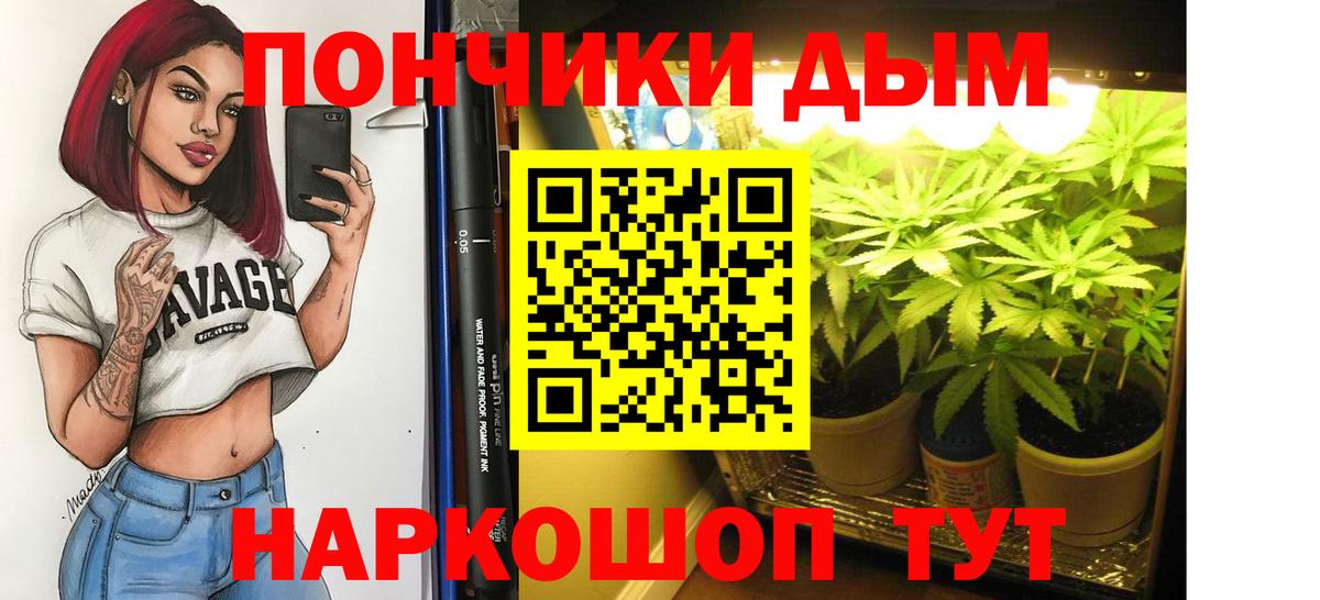 Канабис гибрид Новошахтинск