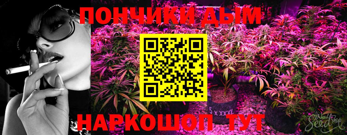 Шишки марихуана Amnesia  Каннабис план  Бошки Шишки LSD WEED  Новошахтинск  Вход с VPN 
